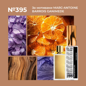 Ganymede by Marc-Antoine Barrois №395